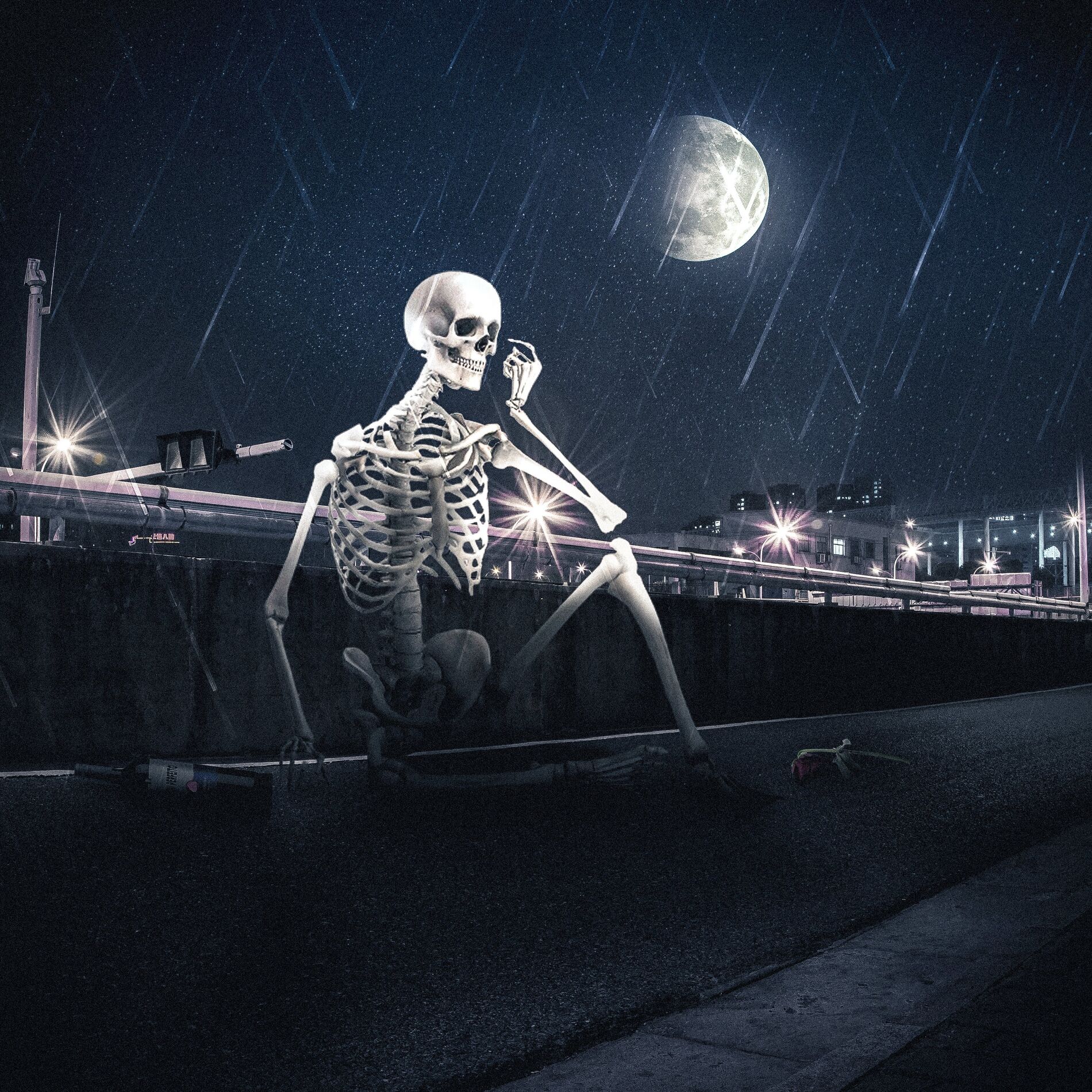 Album cover of Não Sou Perfeito