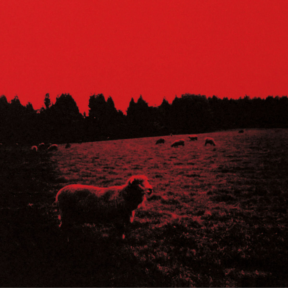 syrup16g「A COMPLETE UNKNOWN」 hqdefault.jpg?sqp=-