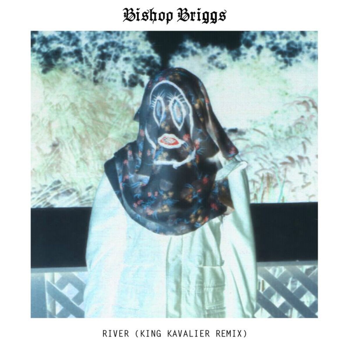 Album cover of River