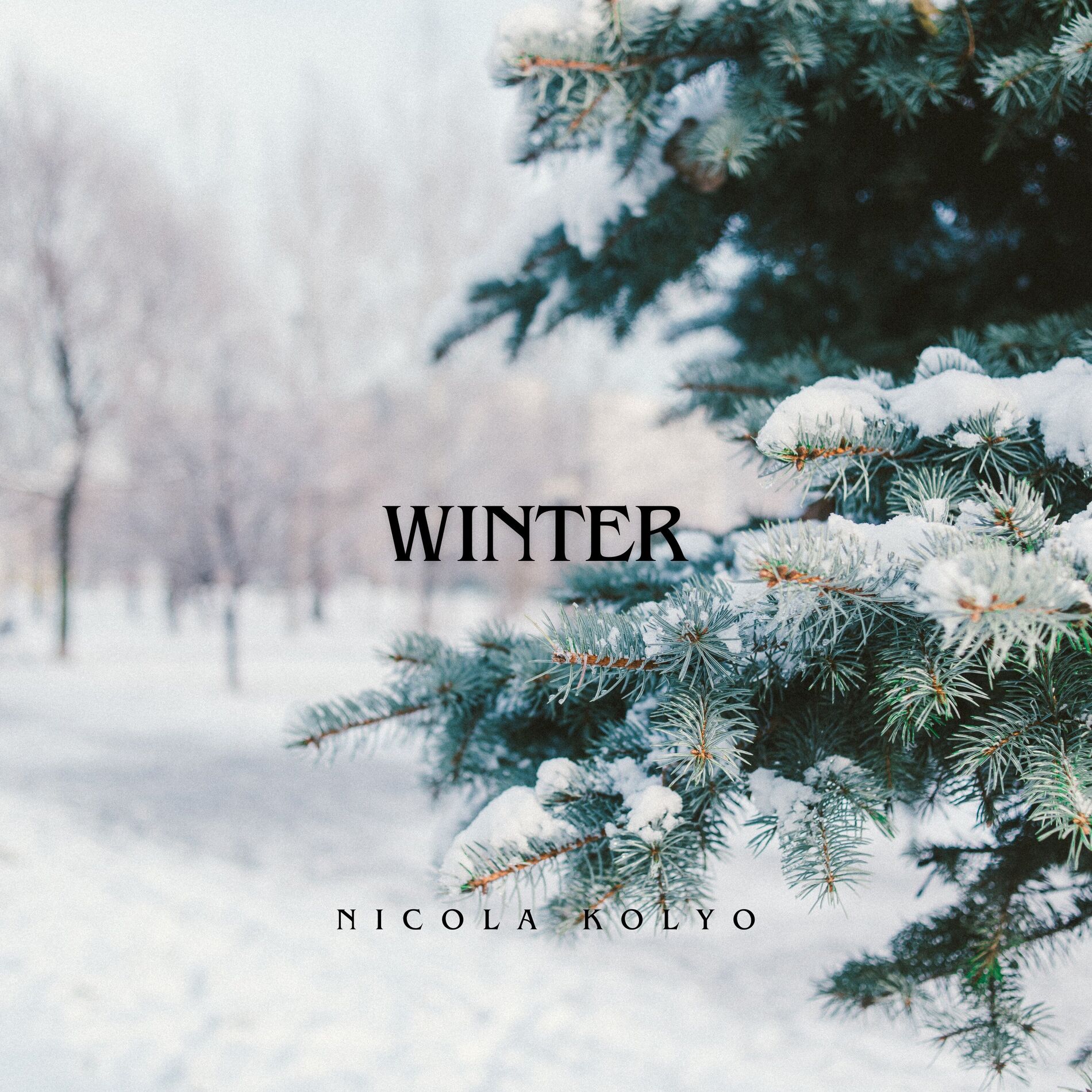 Album cover of WINTER