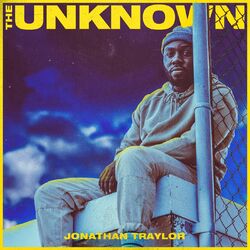 Cover of The Unknown