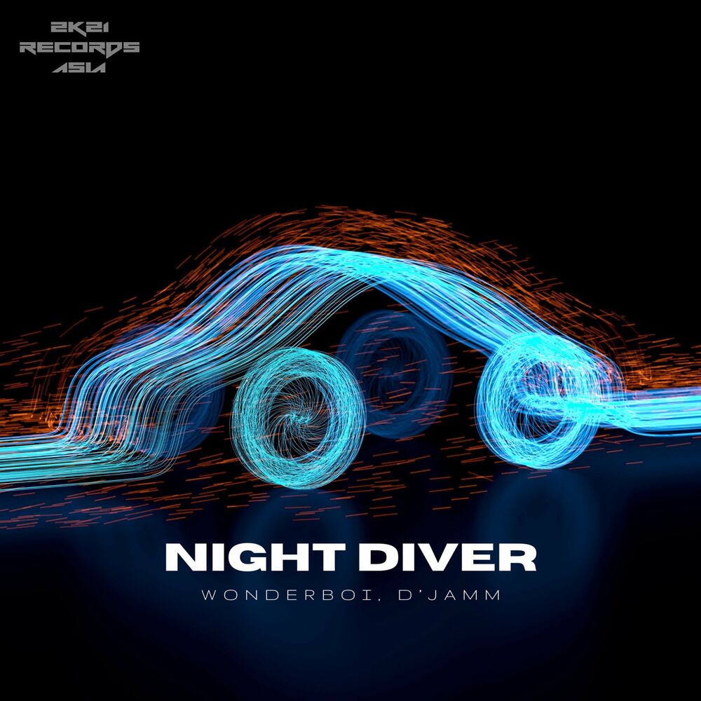 Picture of Night Diver