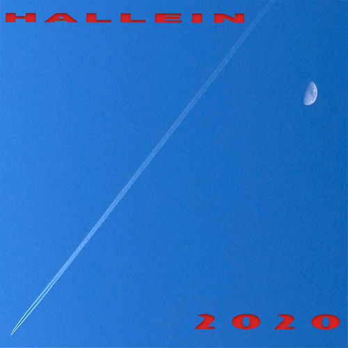 hallein2020