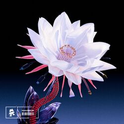 Cover of Undefined