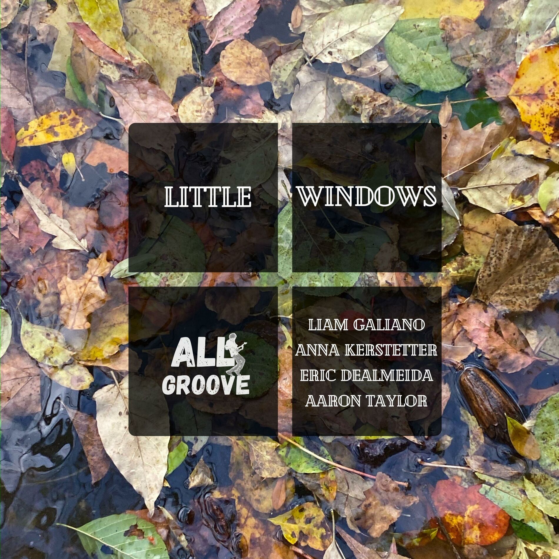 Album cover of Little Windows (feat. Liam Galiano, Anna Kerstetter, Eric DeAlmeida & Aaron Taylor)