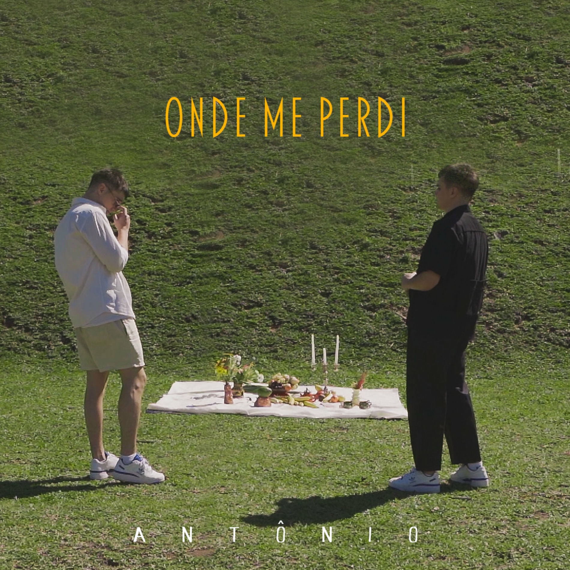 Album cover of Onde me Perdi