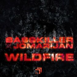 Cover of Wildfire