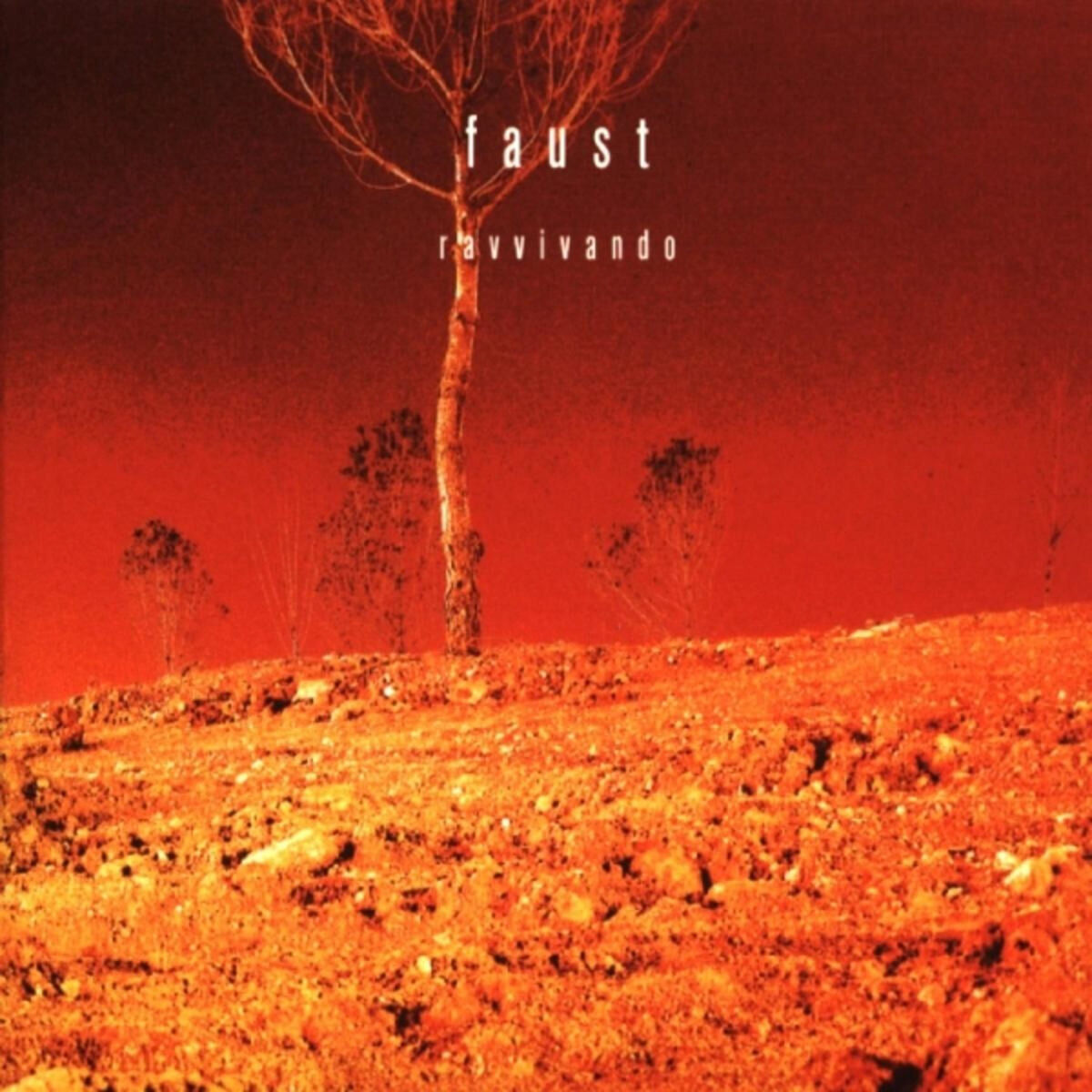 Album cover of Ravvivando