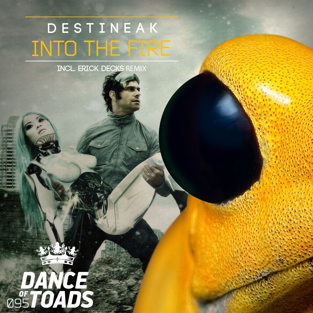 Picture of Into The Fire