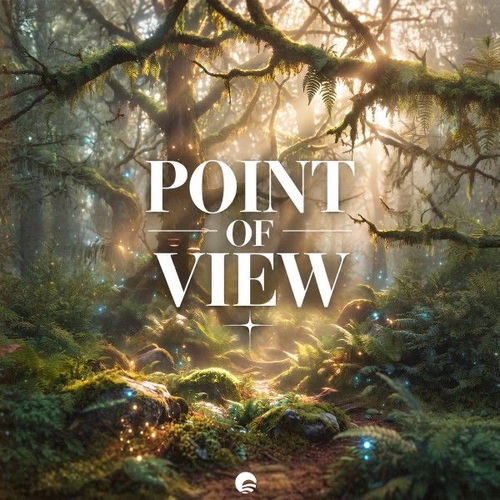 Point of View