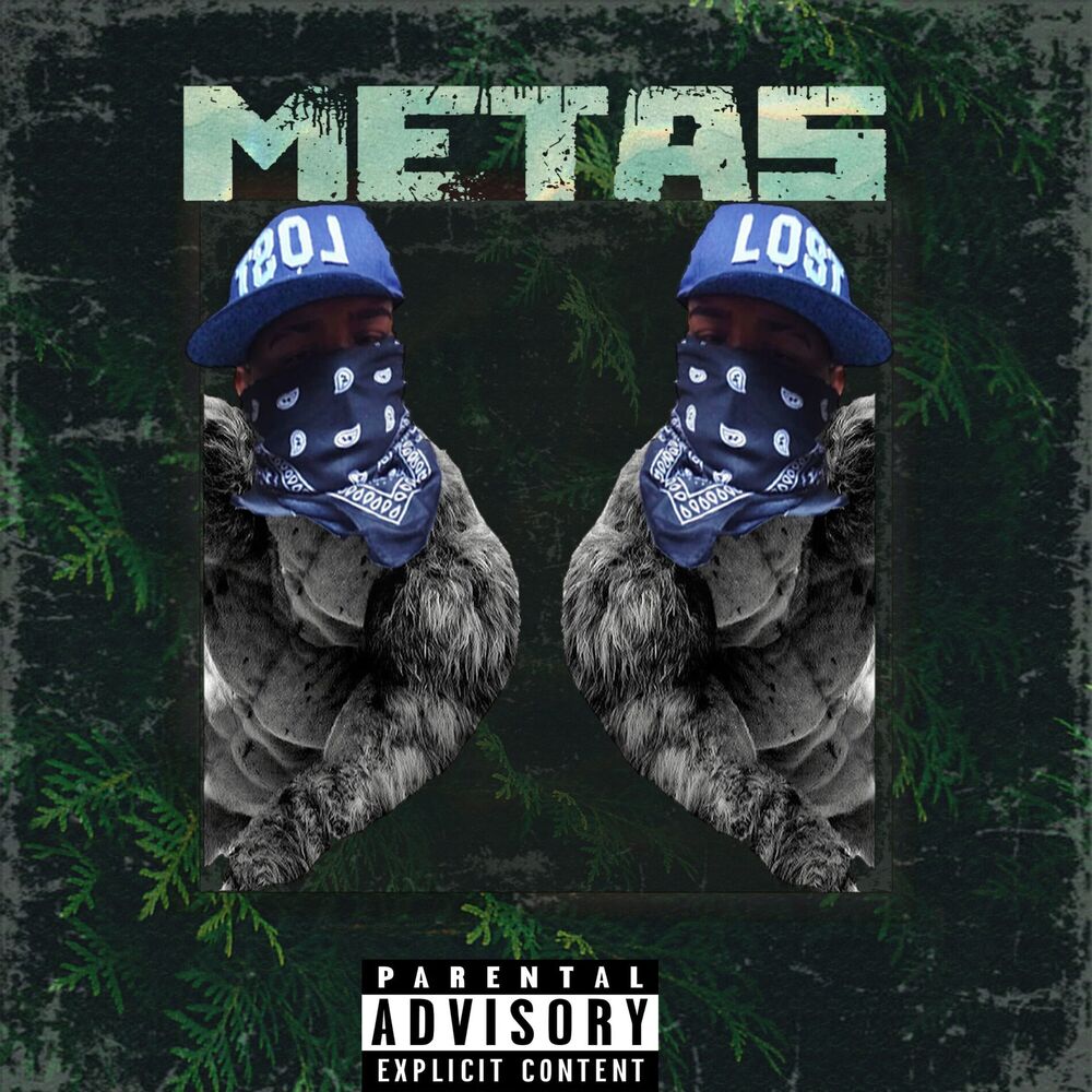 Picture of Metas