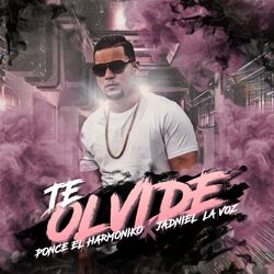 Cover of Te Olvide