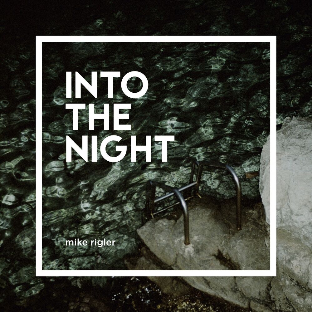 Picture of Into the Night