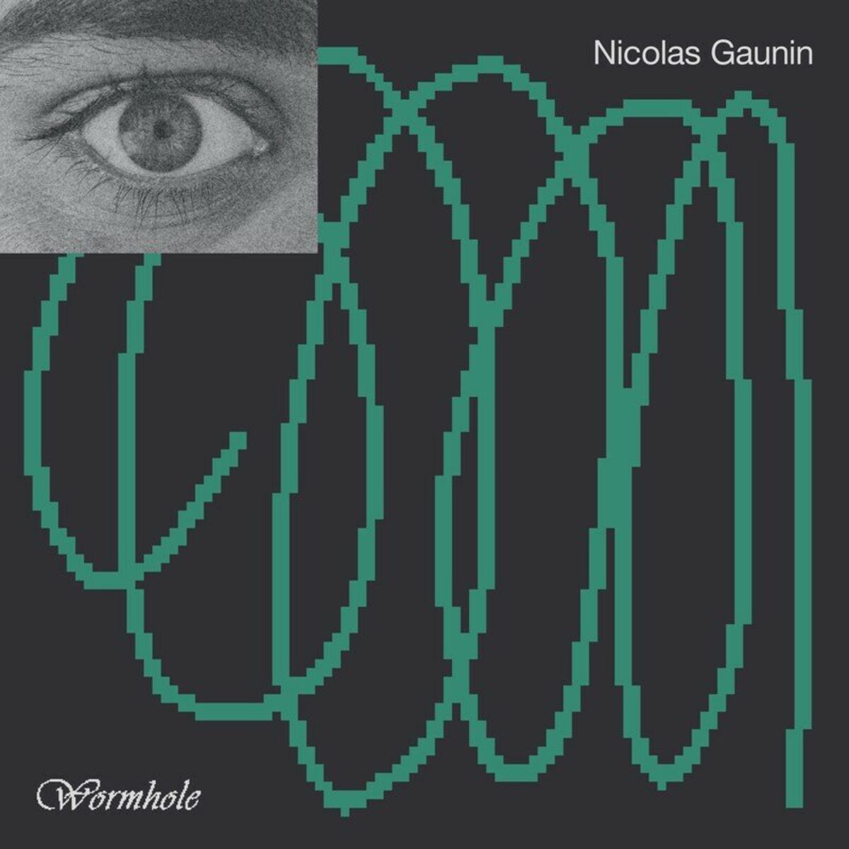 Album cover of Wormhole