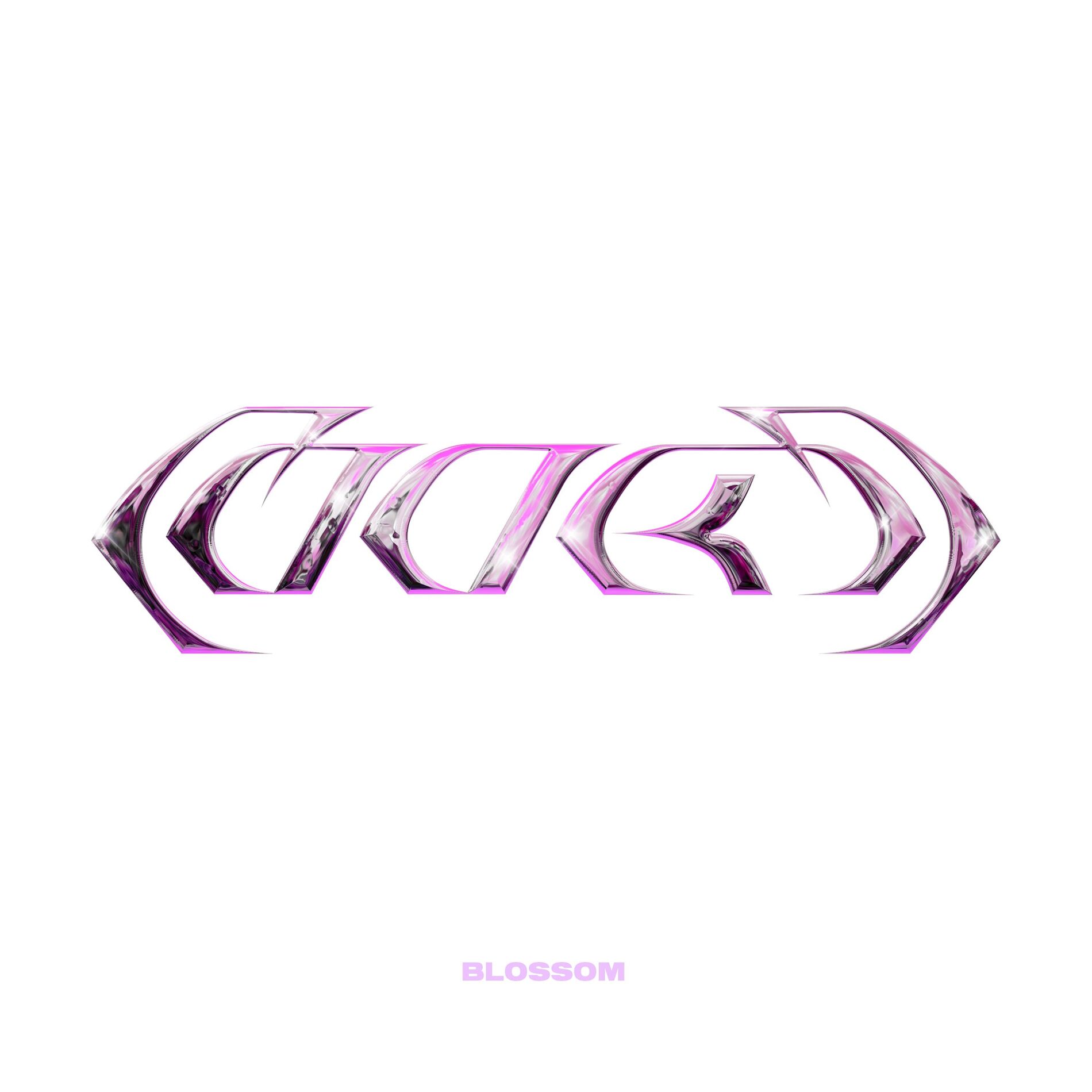 Album cover of blossom