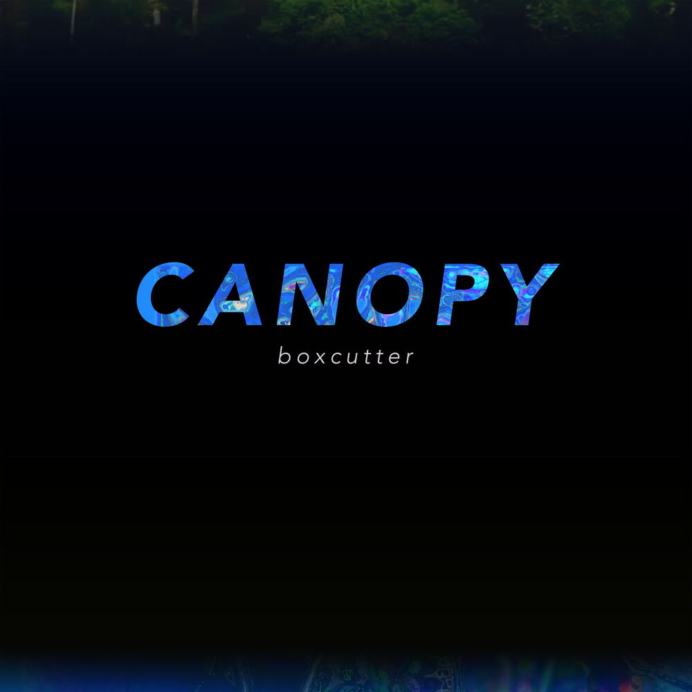 Picture of Canopy