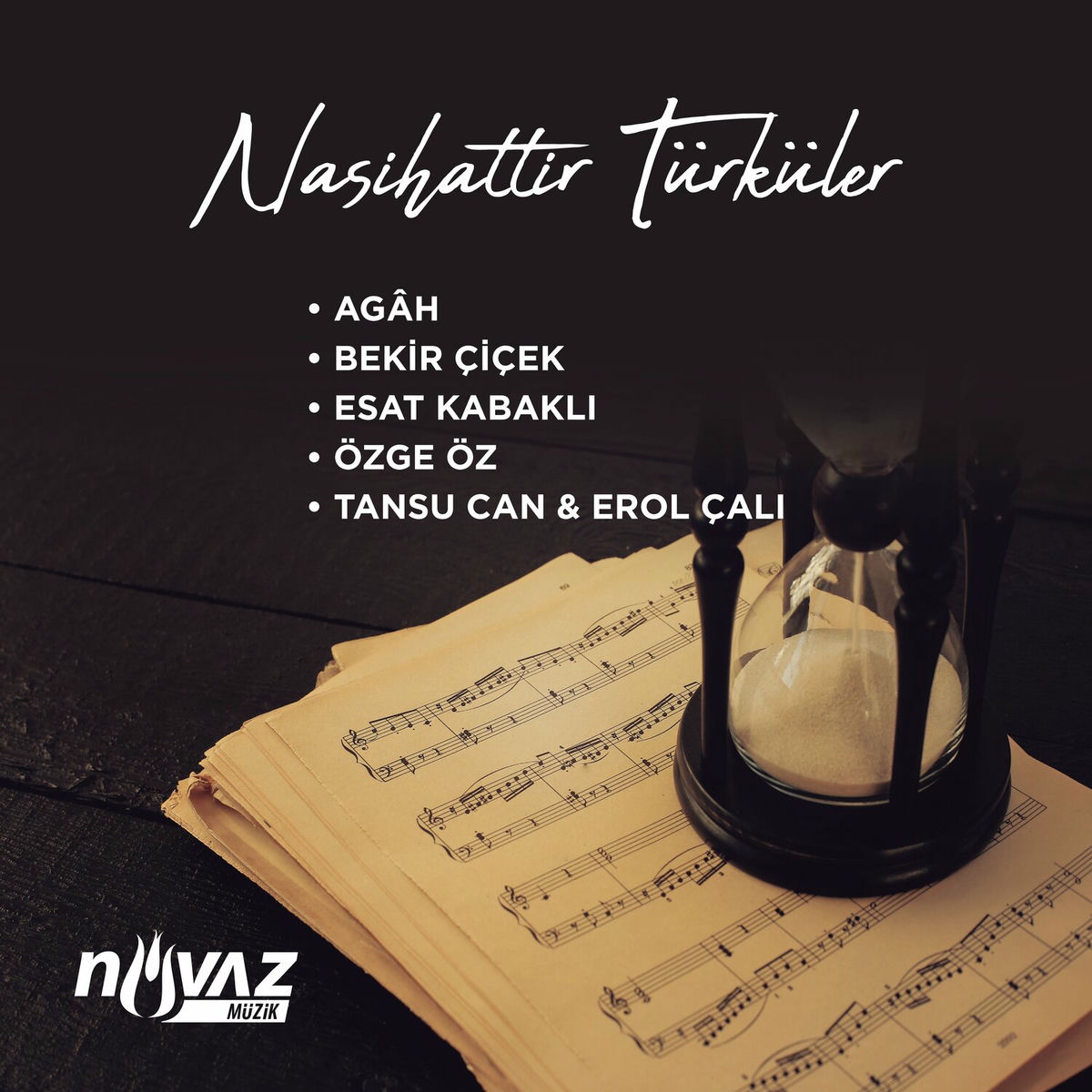 Album cover of Nasihattir Türküler