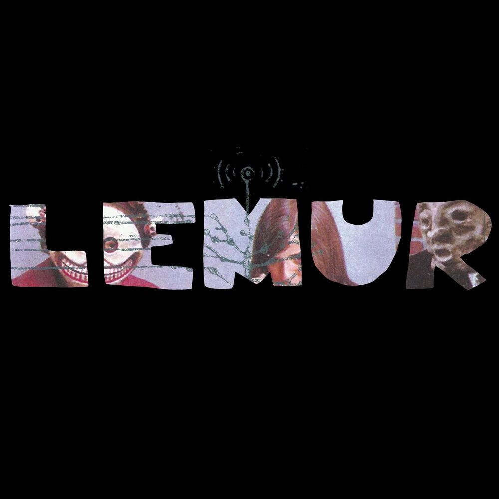 Picture of Lemur