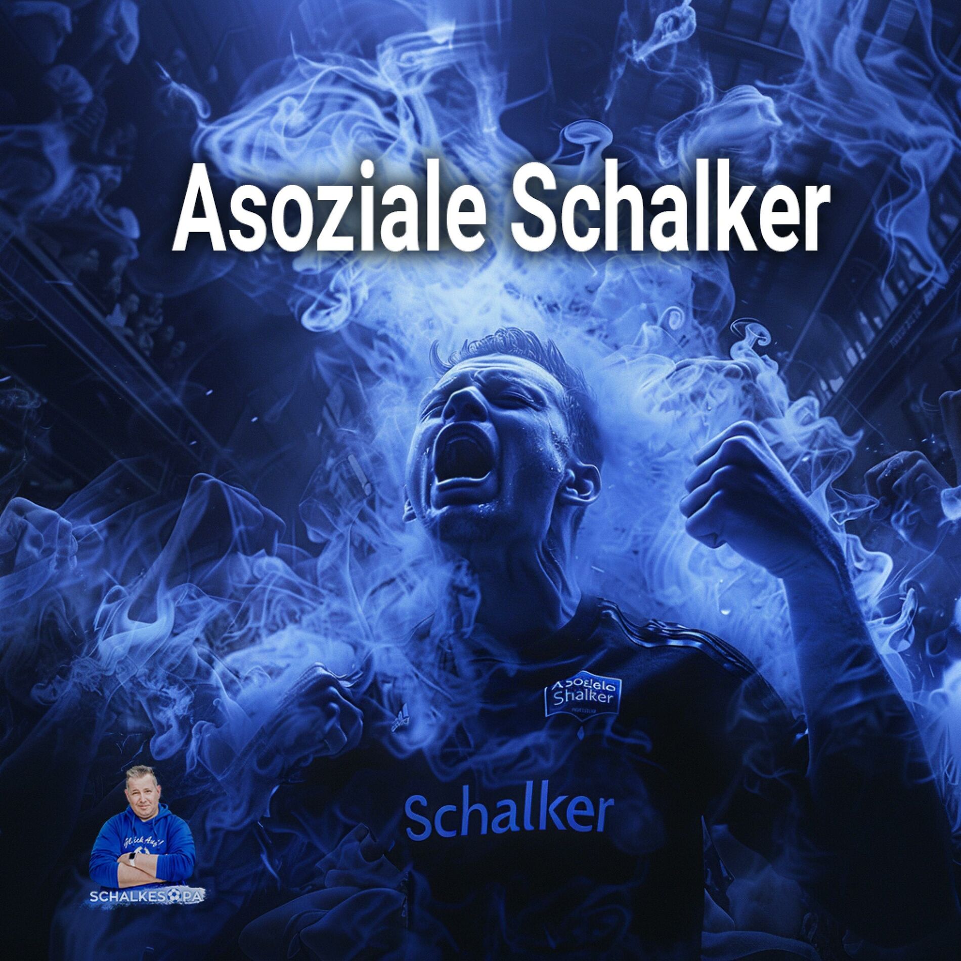 Album cover of Asoziale Schalker