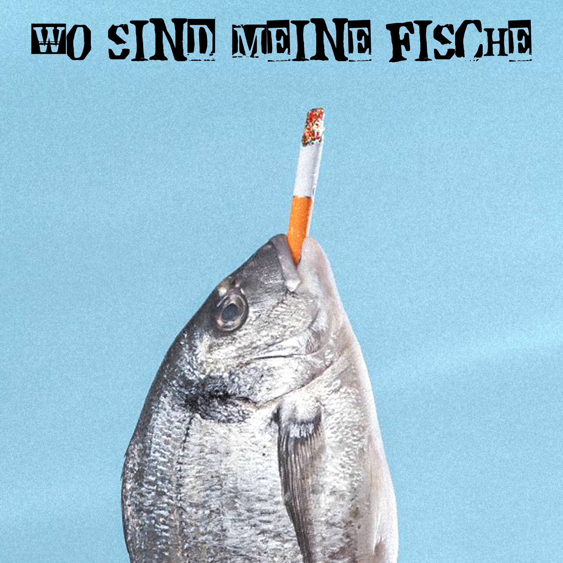 Album cover of wo sind meine fische