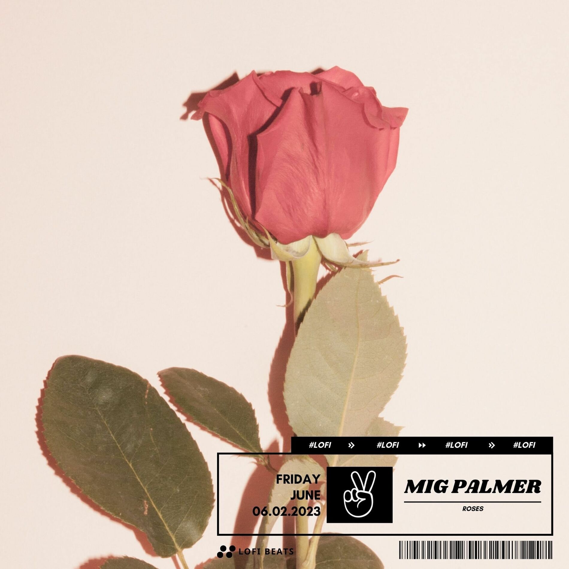 Album cover of Roses