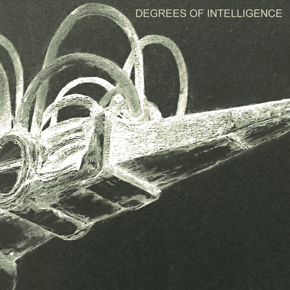 Picture of Degrees of Intelligence