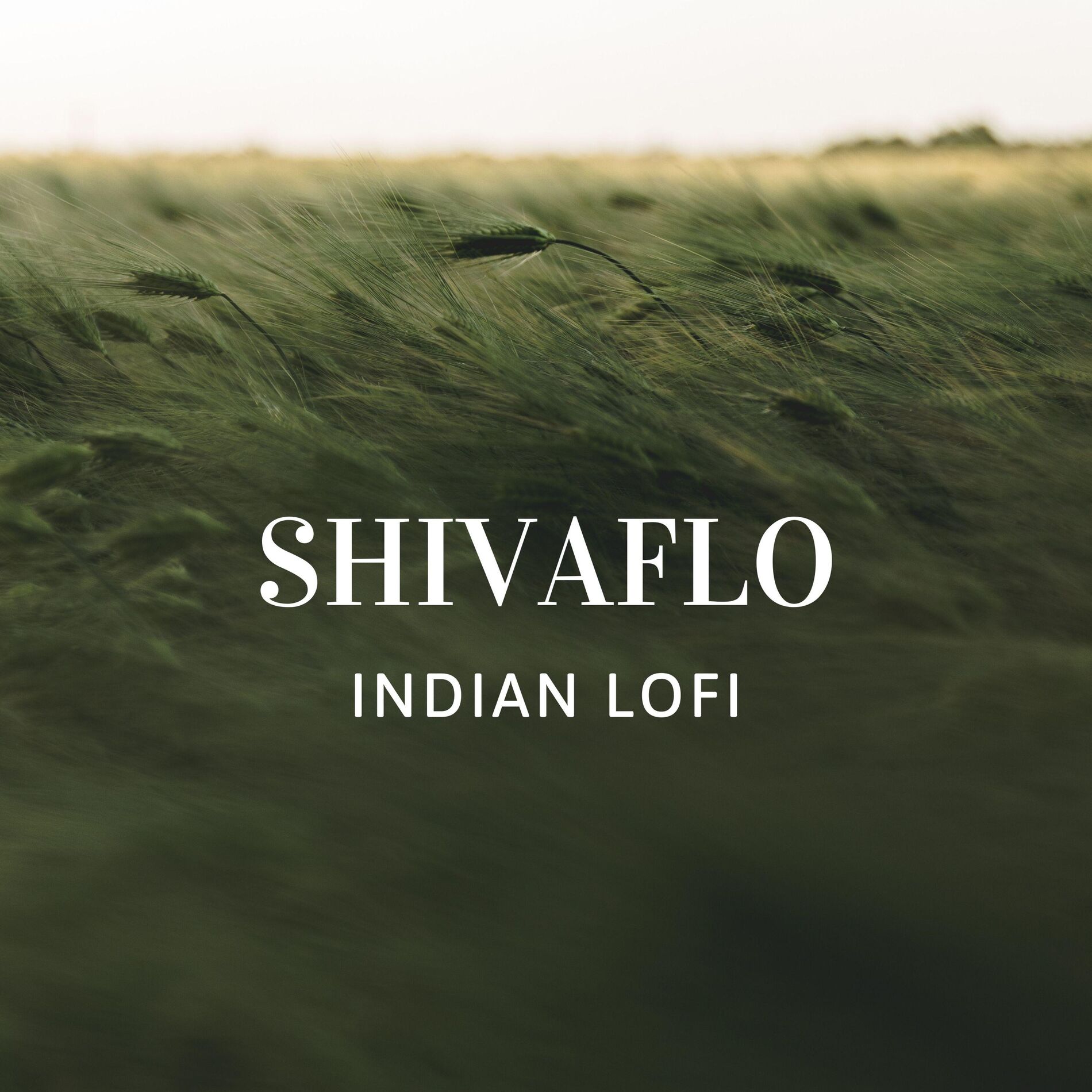 Album cover of Indian Lofi Yeh Hawayein