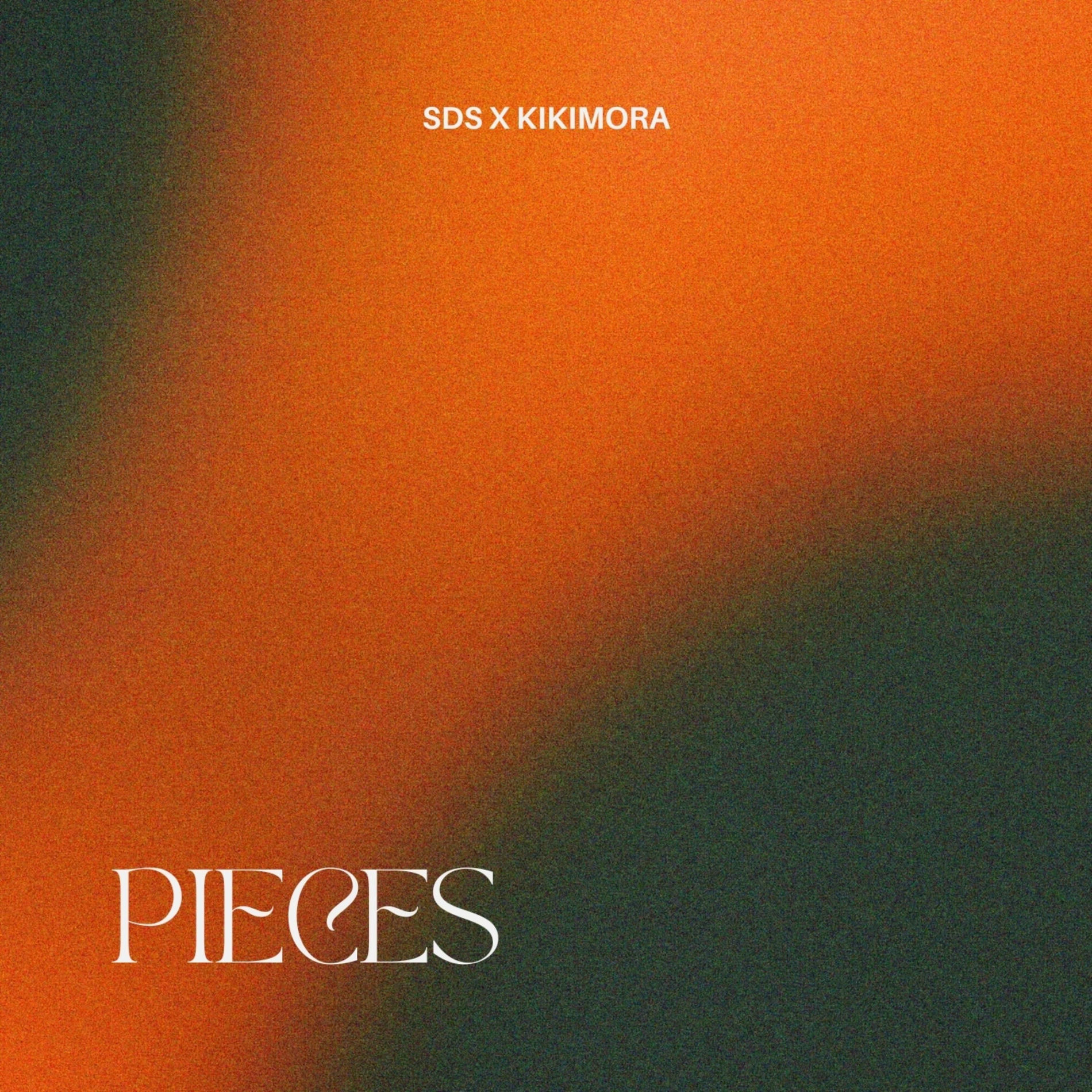 Album cover of Pieces