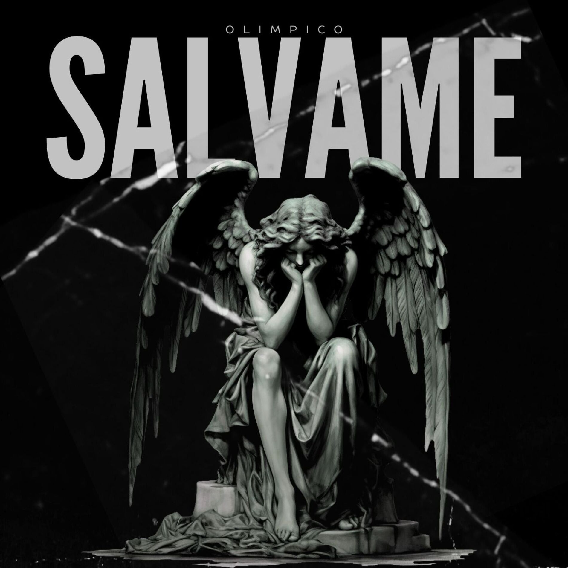 Album cover of SÁLVAME