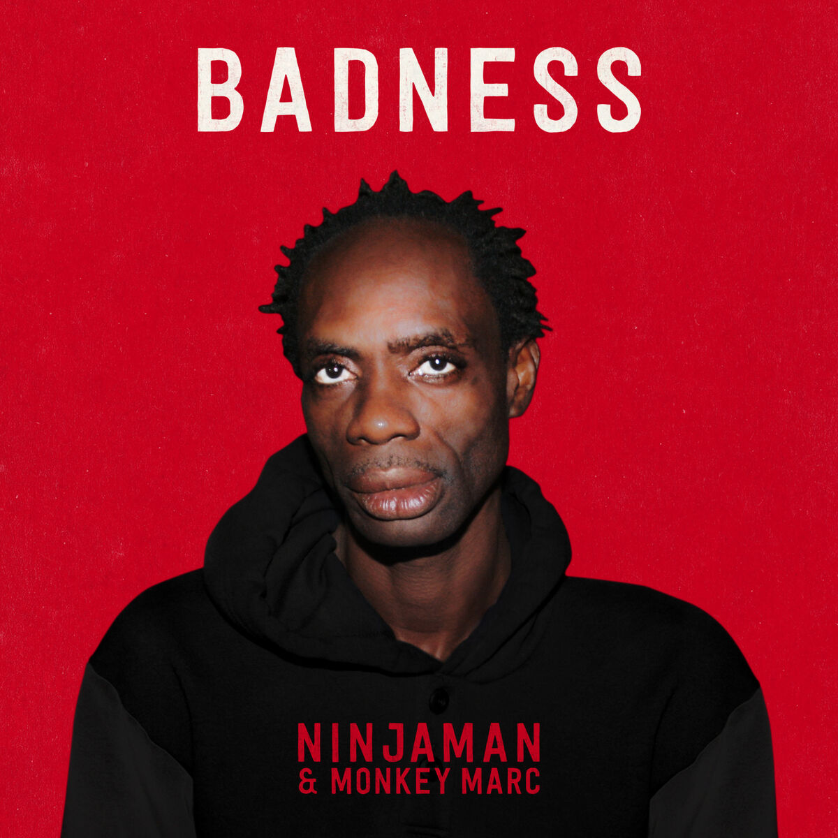 Album cover of Badness