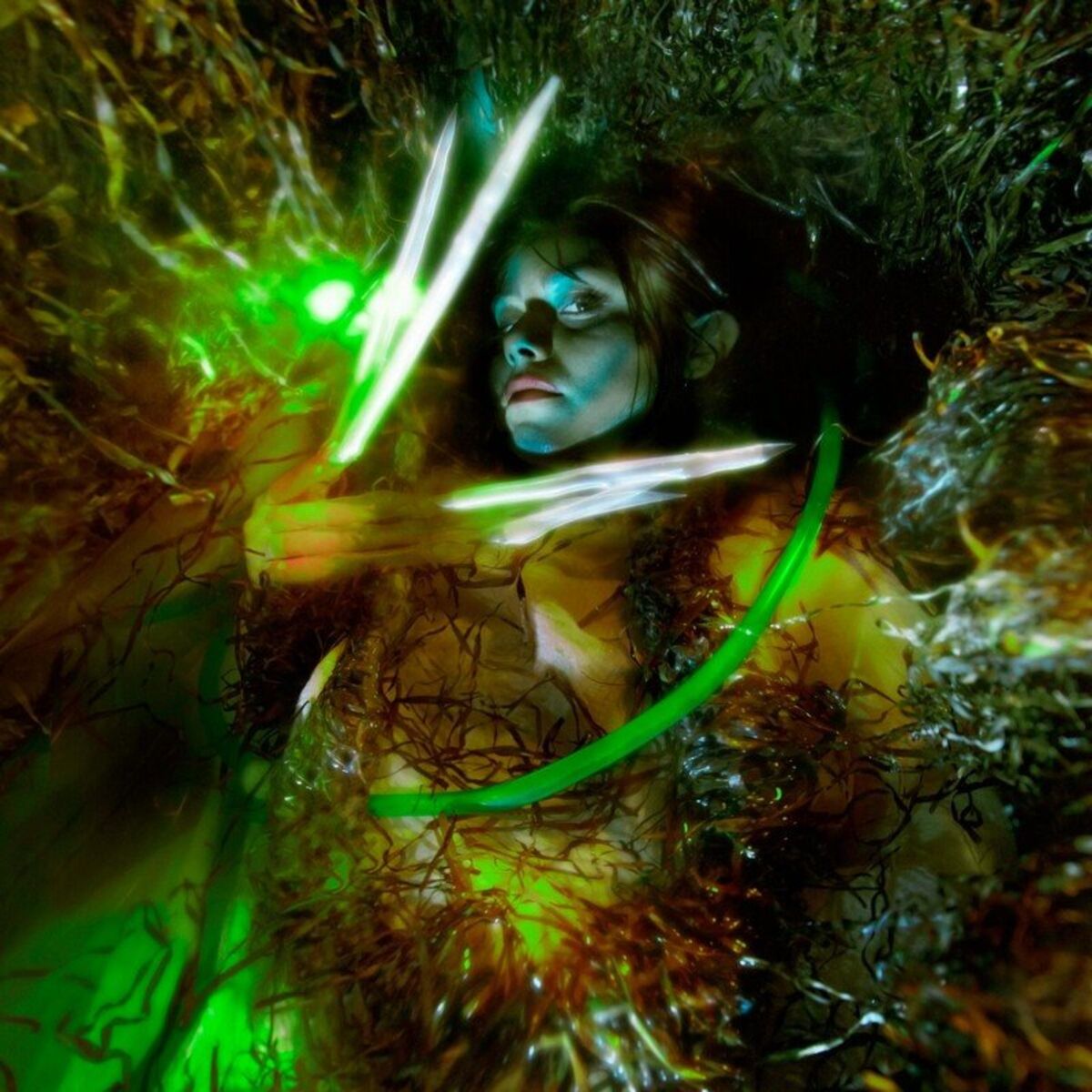 Album cover of Cold