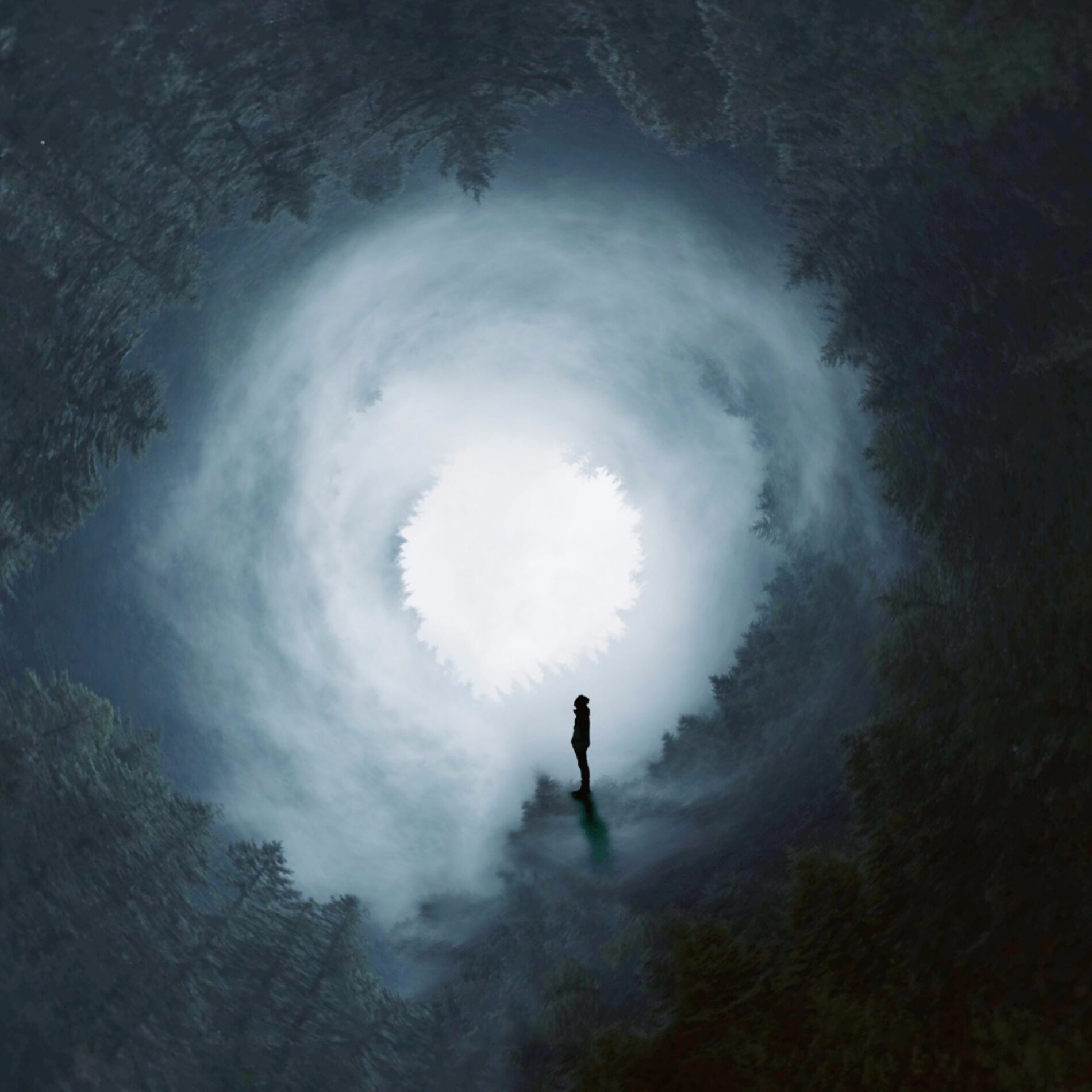 Album cover of Old Growth