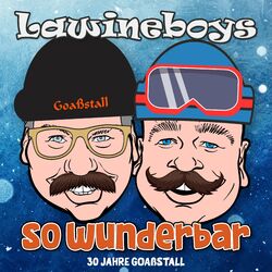 Cover of So Wunderbar (30 Jahre Goaßstall)