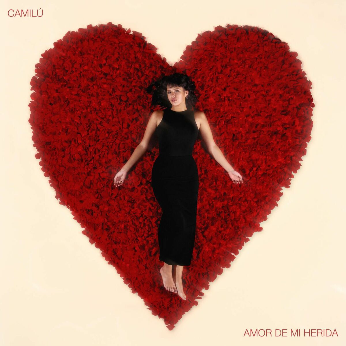 Album cover of Amor de mi herida