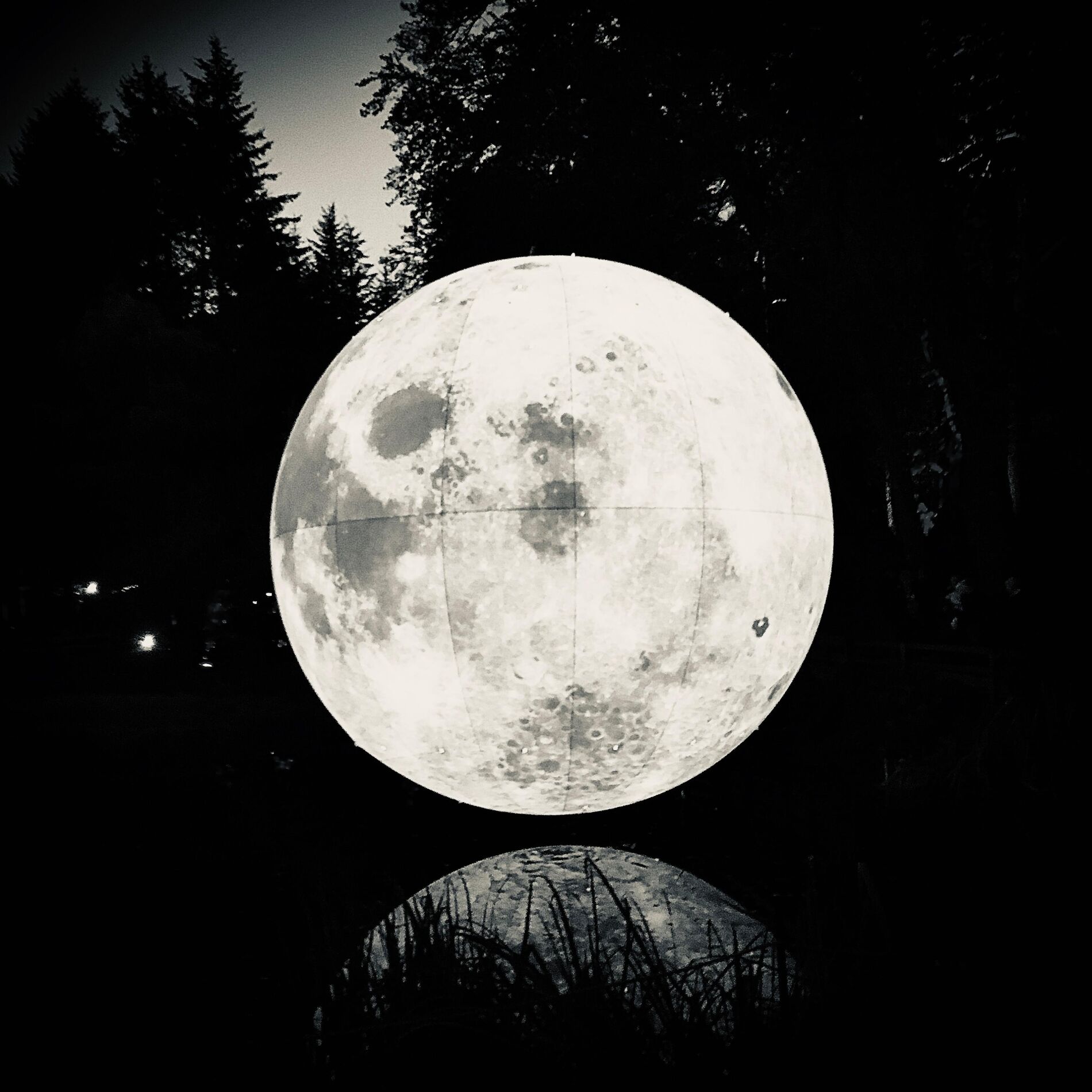 Album cover of Luna Park