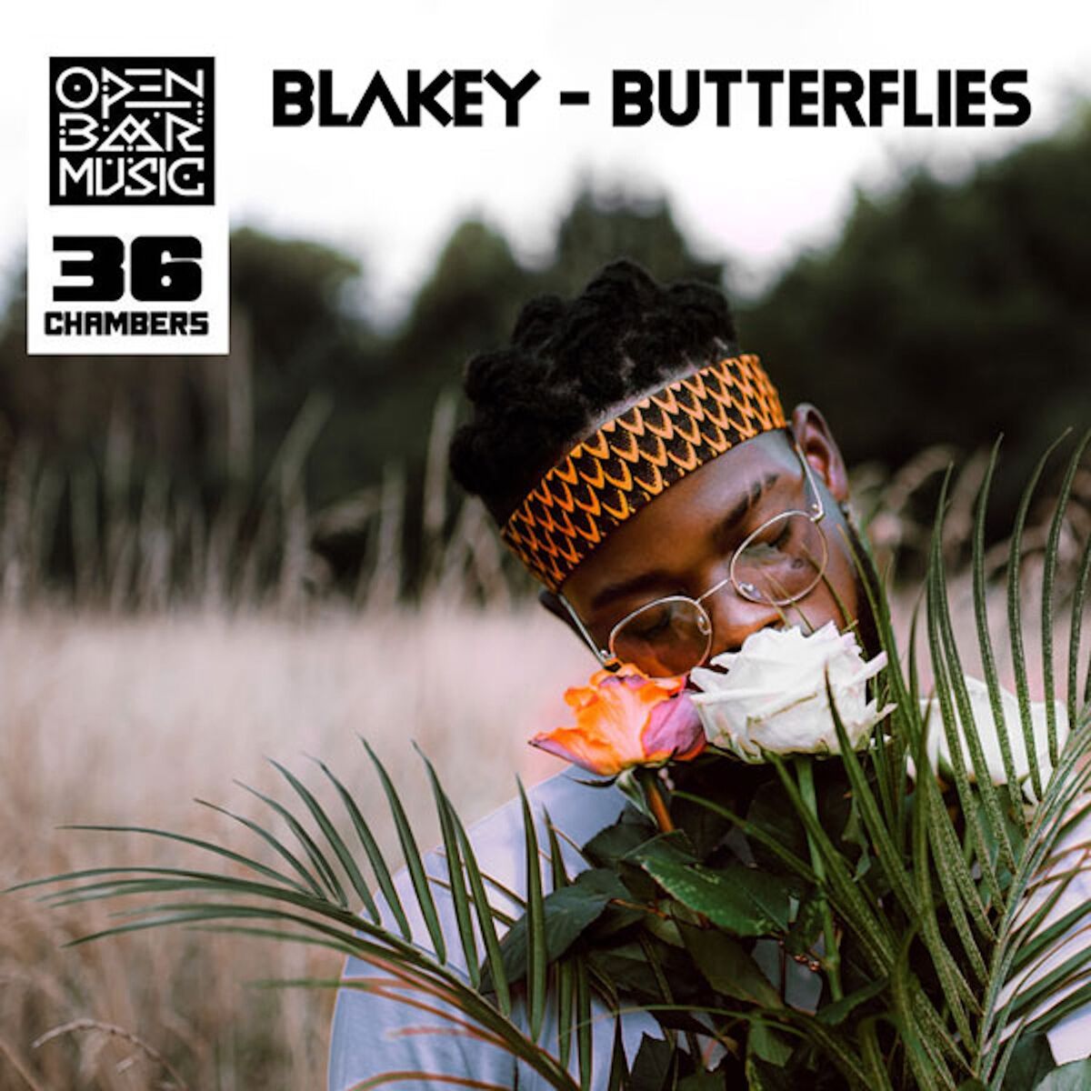 Album cover of Butterflies