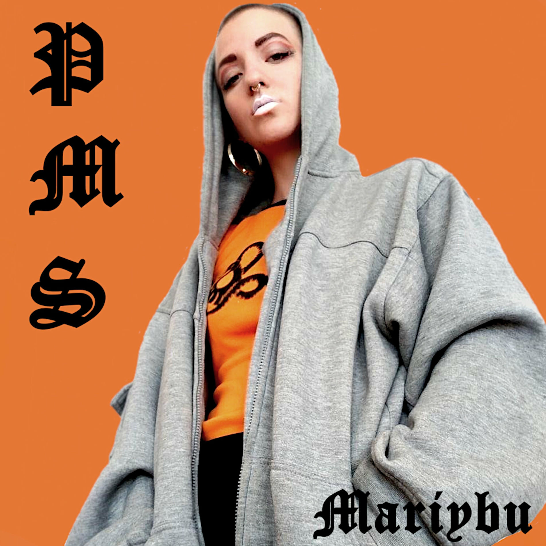 Album cover of PMS
