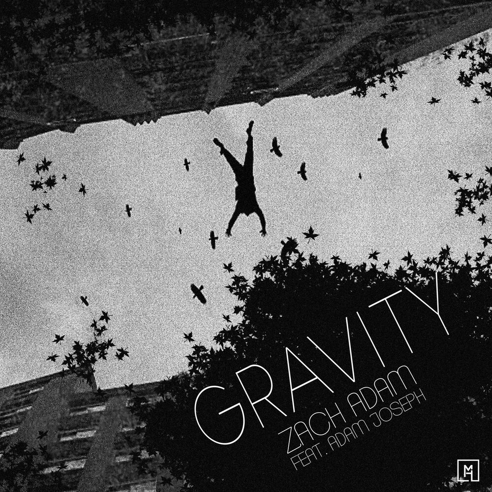 Picture of Gravity