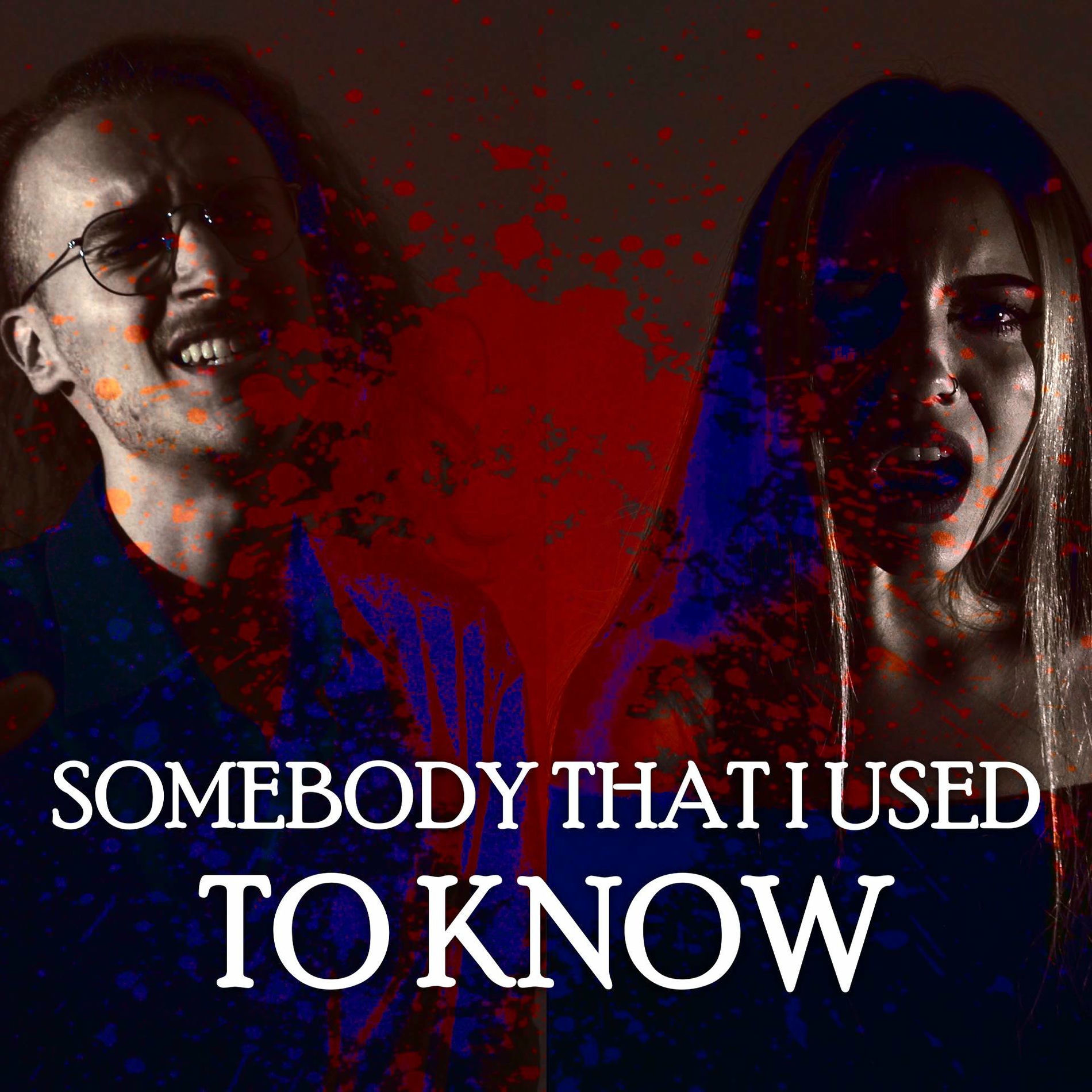Album cover of Somebody That I Used to Know (Gothic Metal)