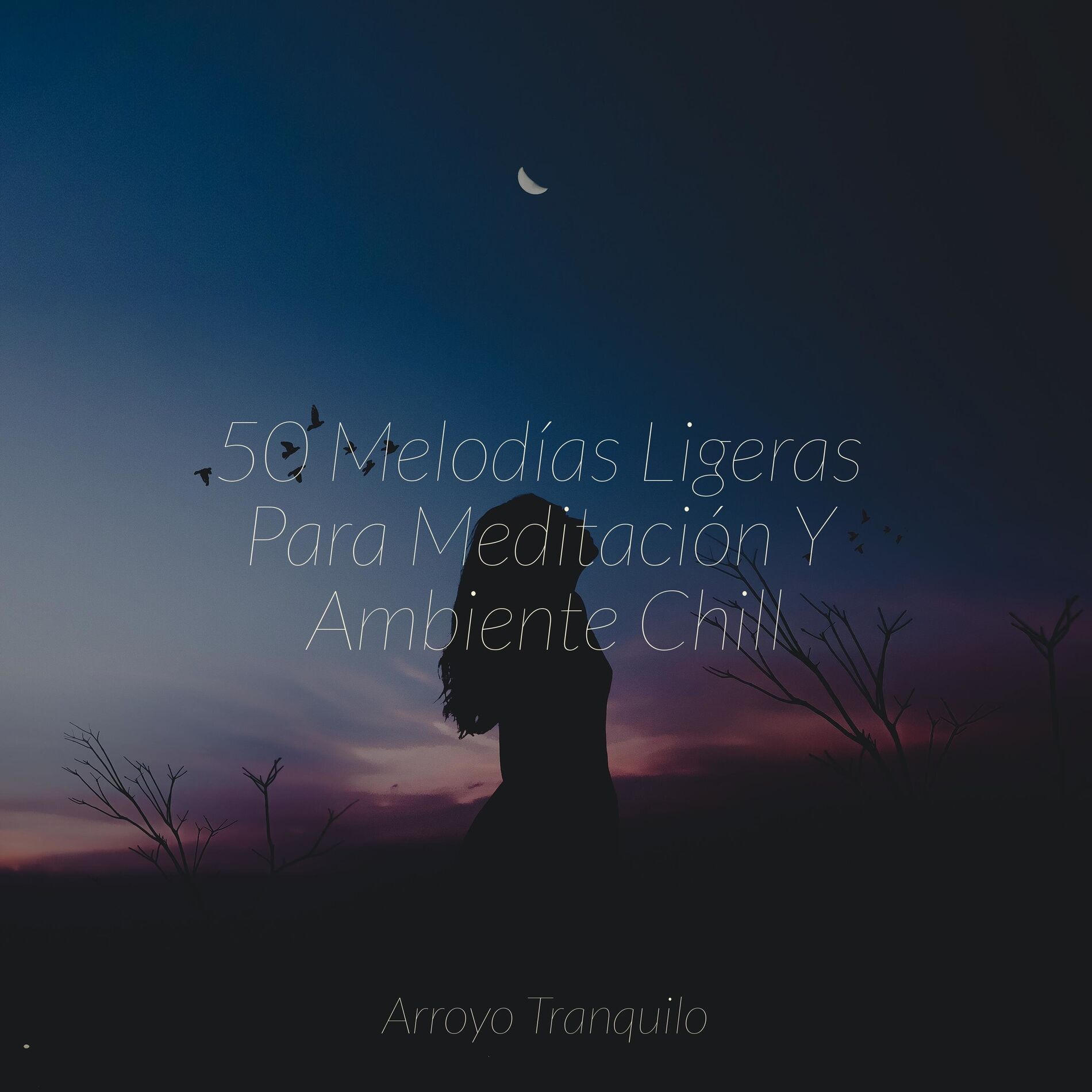 Album cover of 50 Melodías Ligeras Para Meditación Y Ambiente Chill