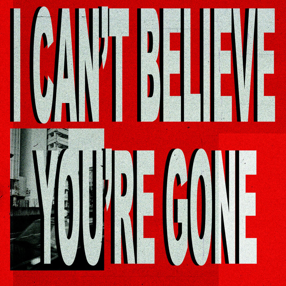 Picture of I Can't Believe You're Gone