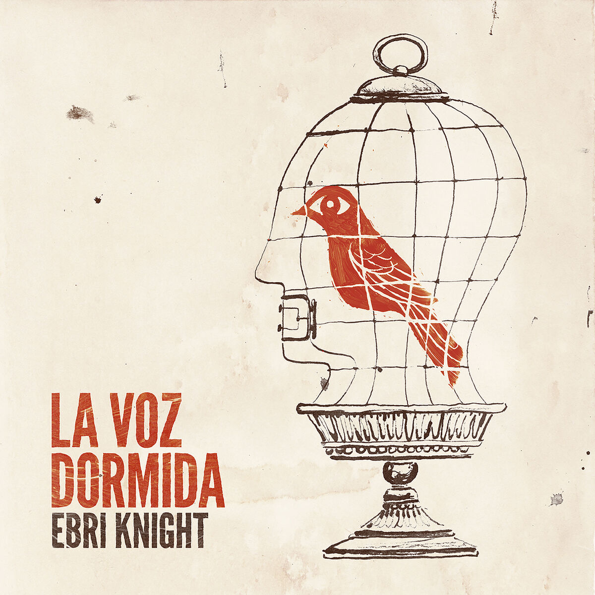 Album cover of La Voz Dormida