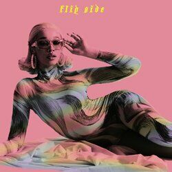 Cover of Flipside
