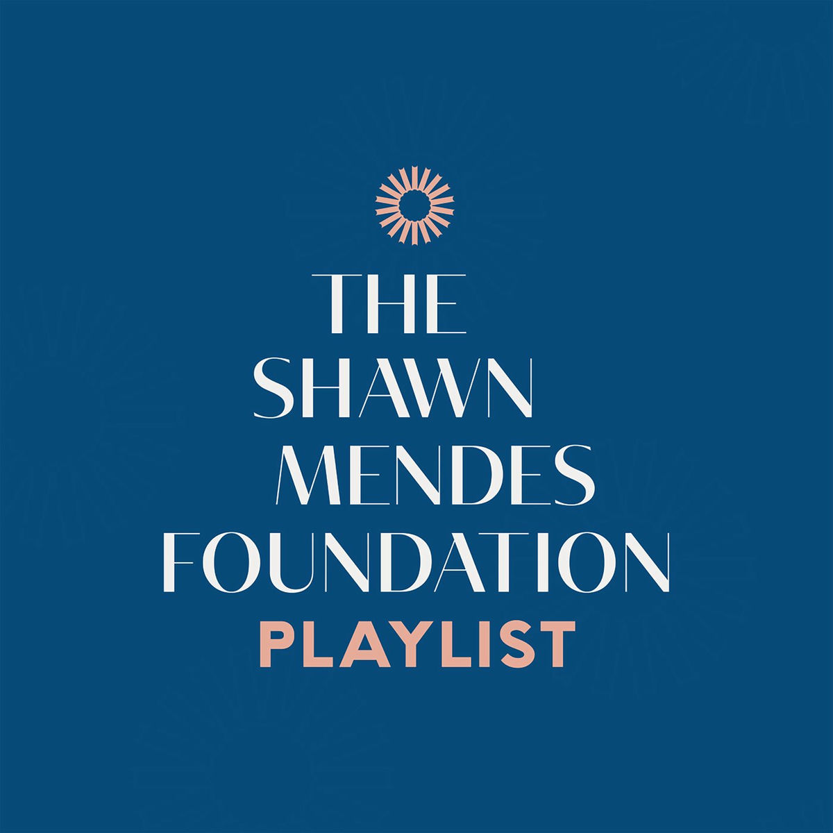 Album cover of The Shawn Mendes Foundation Playlist
