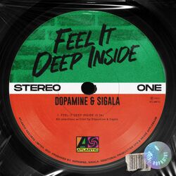 Cover of Feel It Deep Inside