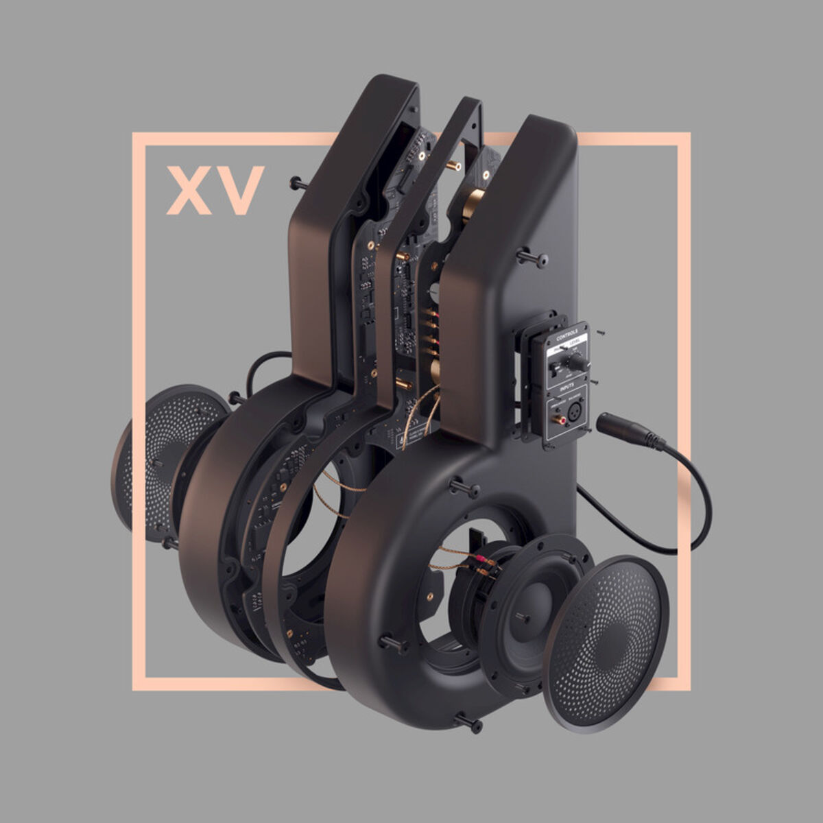 Album cover of XV