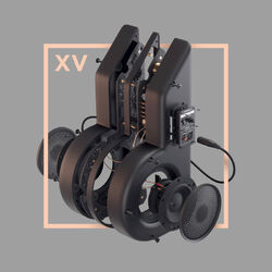 Cover of XV
