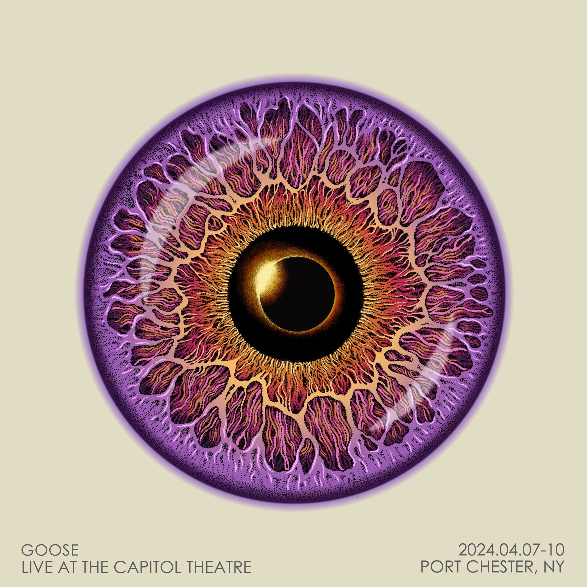 Album cover of Live at The Capitol Theatre