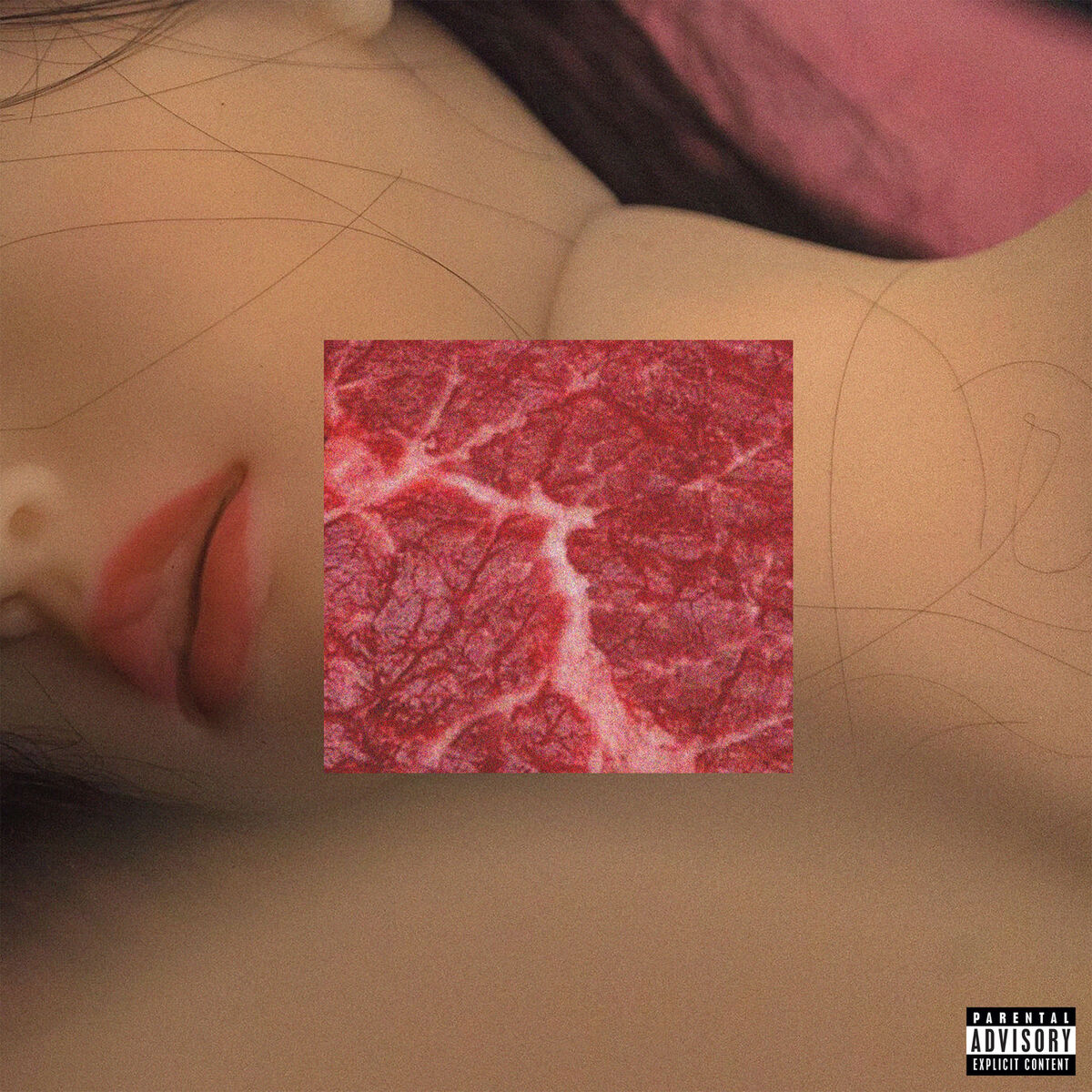Album cover of Wasteland