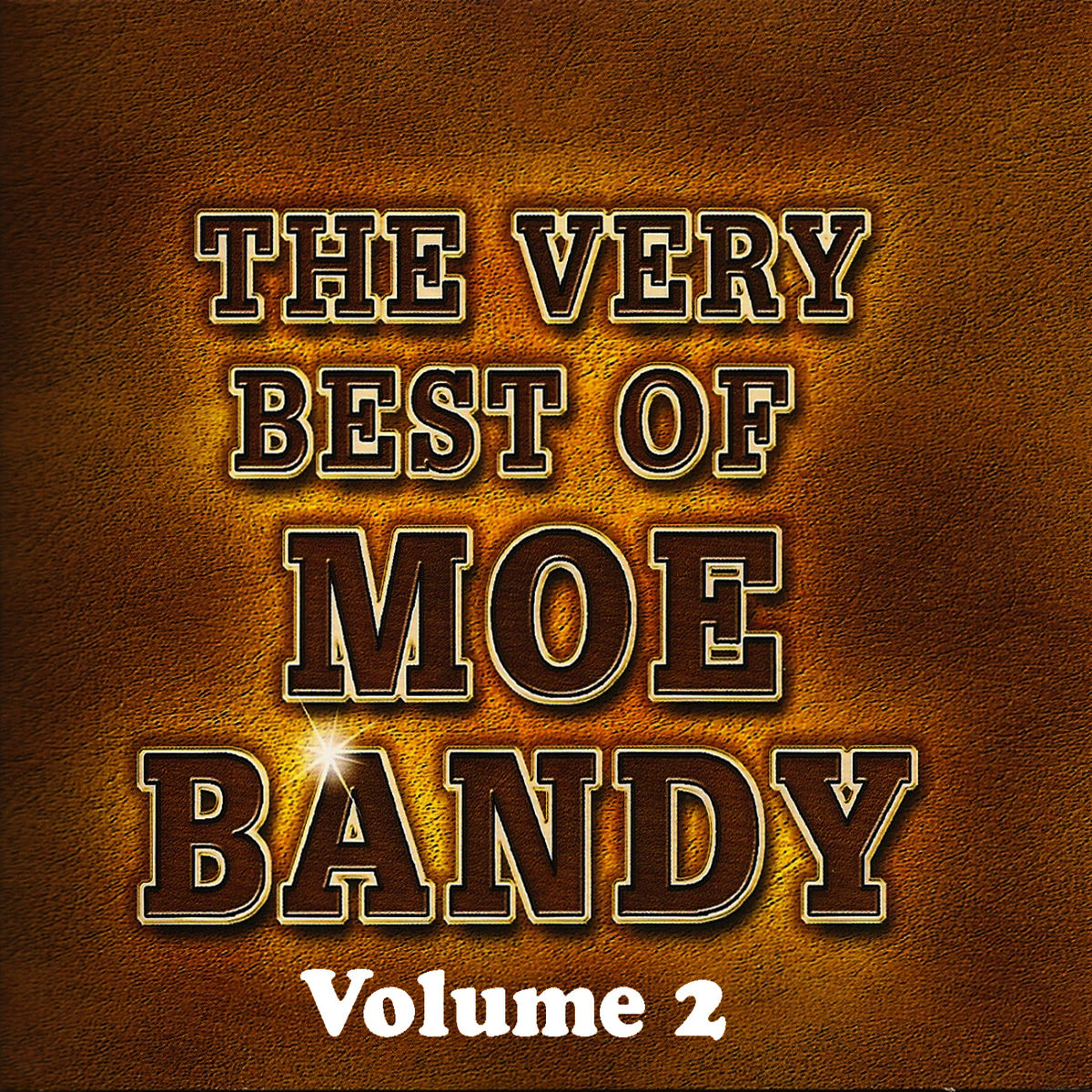 Album cover of Bandy The Rodeo Clown